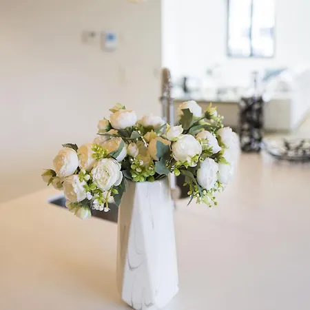 Triplex Penthouse In Centre شقة بروكسل