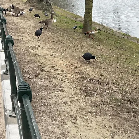 Le Flagey Place Διαμέρισμα