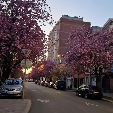 Diamant - Chic & Lumineux * Brussel