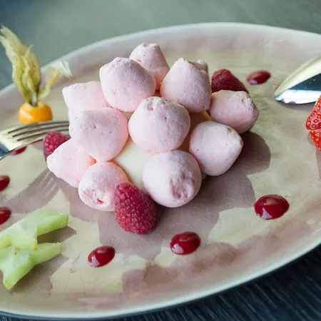 ホテル トーン ブリストル ステファニー