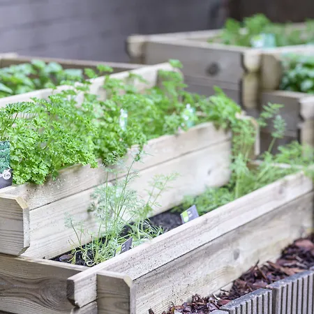 호텔 Schuman By Ihg 4*