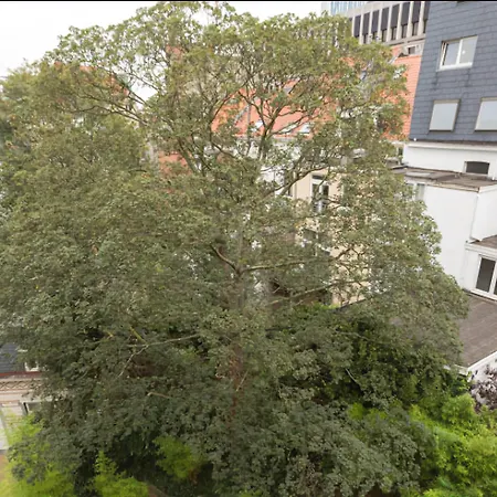 ドゥ コングレス 3*