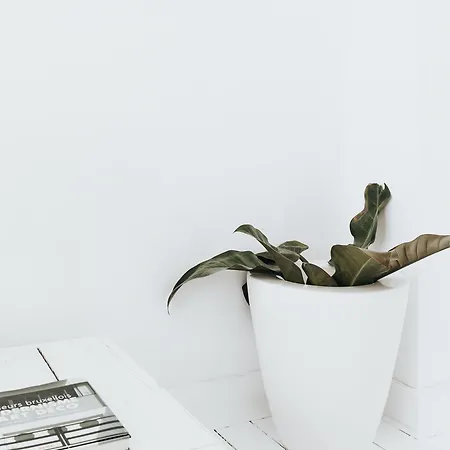 Lenoir 96 Βρυξέλλες