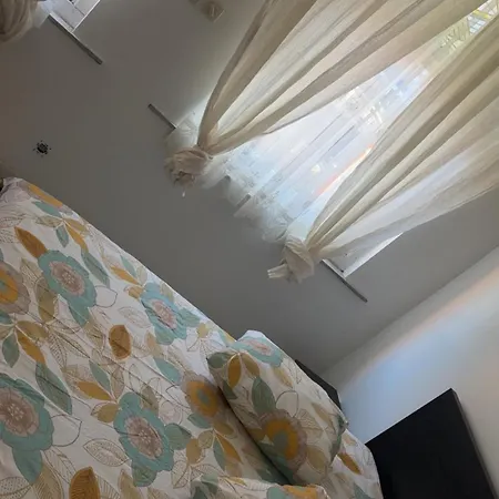 Majorelle * Brüssel