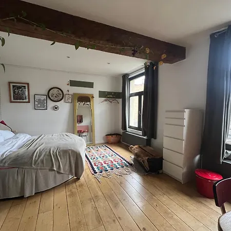 Cozy Studio-city Center *