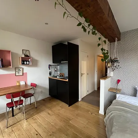 Cozy Studio-city Center