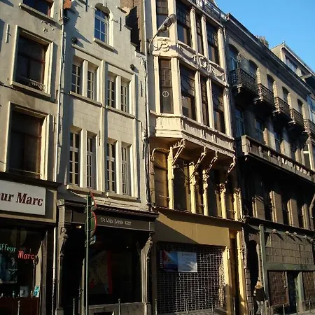 Tatil Evi De Witte Leirsse 1557 Brüksel