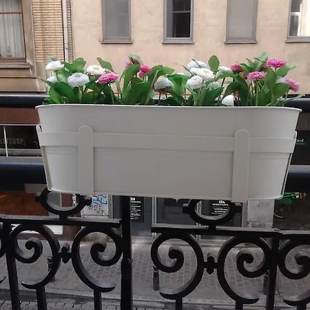 Appartement Grand Place The Looks *