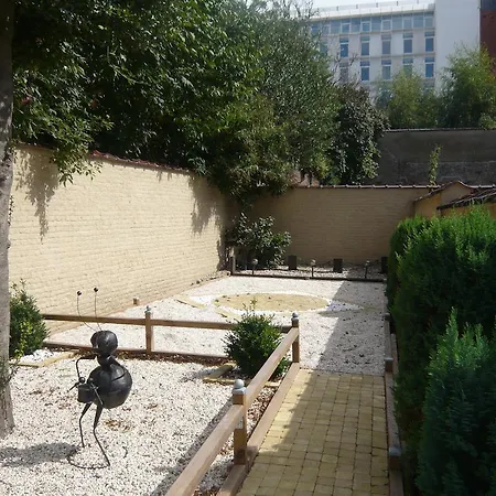 Satellite بروكسل