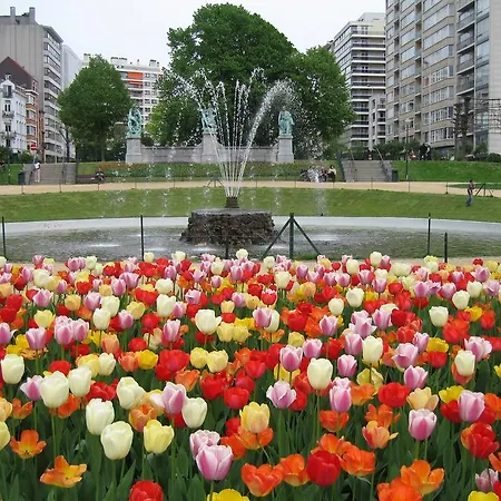 Hotell First Euroflat 4*