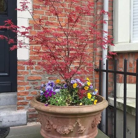 Josaphat Park Brussels