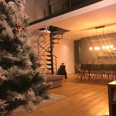 Luxury Loft Duplex Penthouse Of 190m2 & Free Parking !