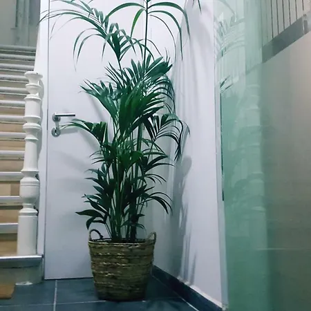 Artistic World Apartment *