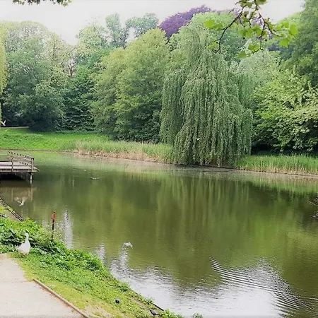 Reine Astrid Brüsszel
