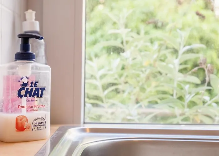 Felix Delhasse Apartment Brüssel