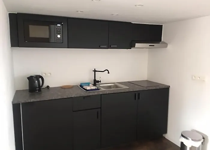 Apartman House Basilic *