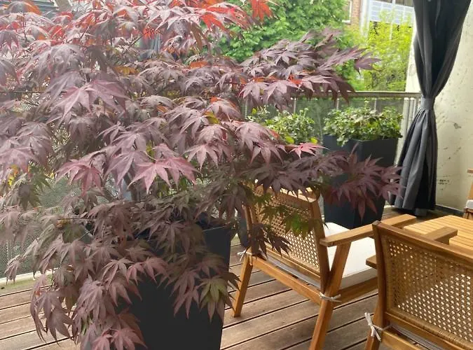 Lägenhet Moderne Centre De