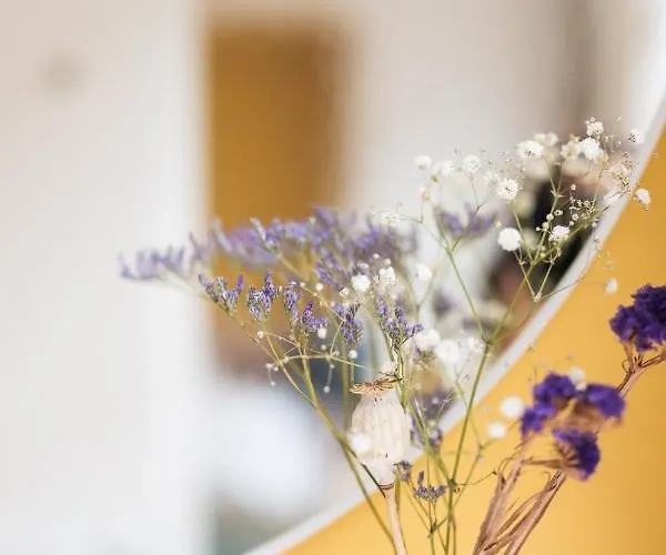 Bed & Breakfast La Senne