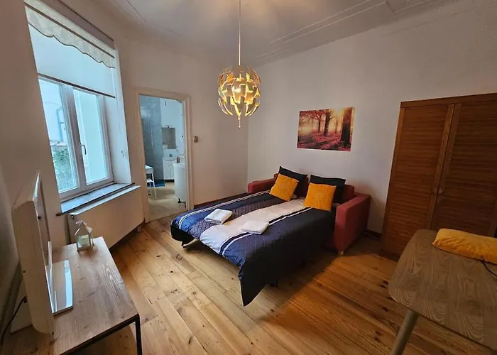 Espace Cosy Basilique