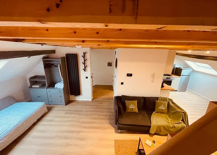 Appartement Camuflats Brussel