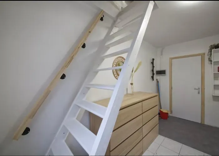 Nid Douillet Et Chaleureux *