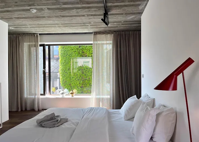 Teddy Picker Brüssel