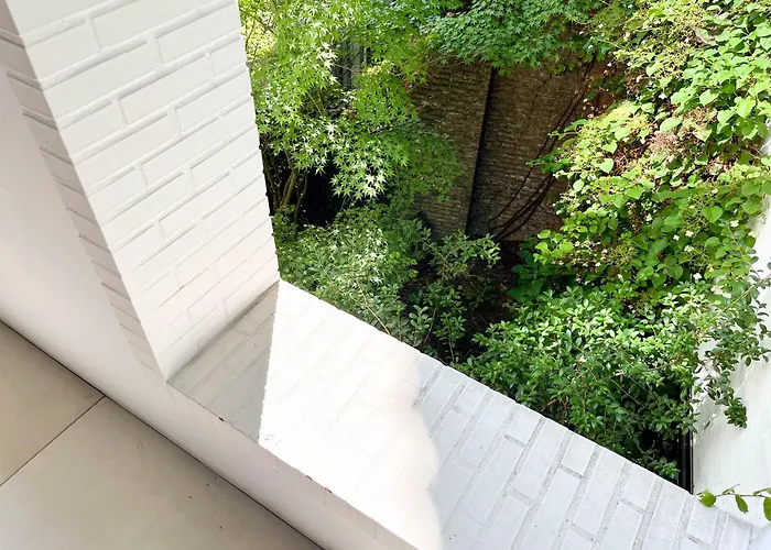 Teddy Picker * Brüssel