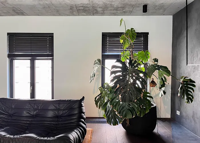 Privatunterkunft Teddy Picker *