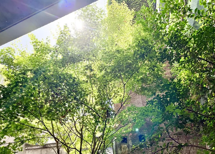 Teddy Picker Privatunterkunft Brüssel