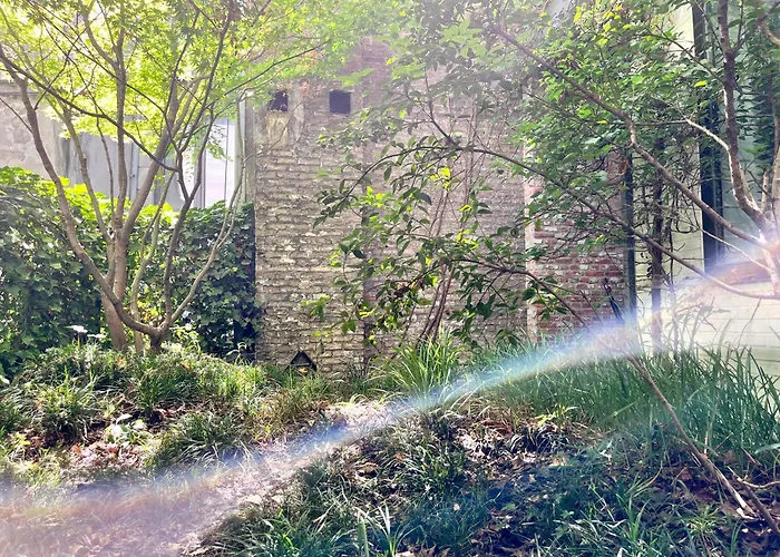 Teddy Picker * Brüssel