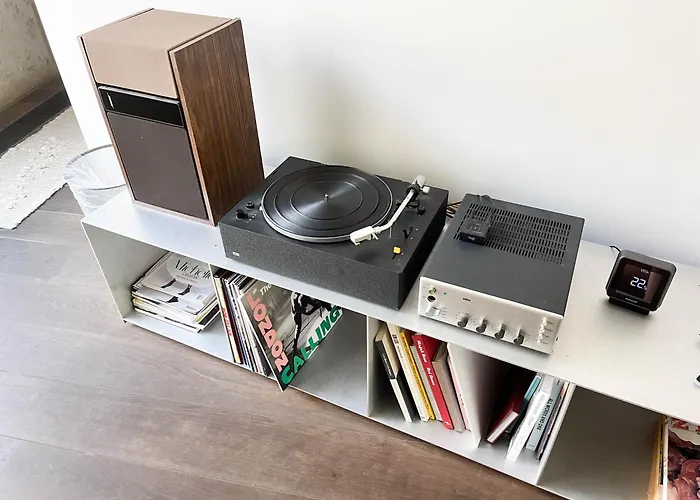 Teddy Picker Brüssel