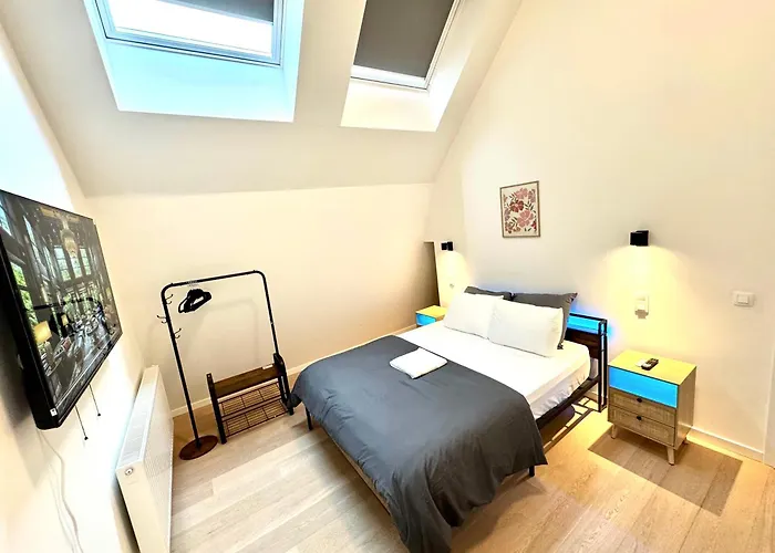 Ulb & Cambre Cosy Duplex 民宿 布鲁塞尔