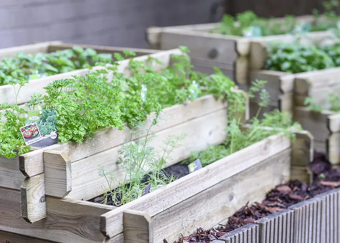 Отель Schuman By Ihg 4*