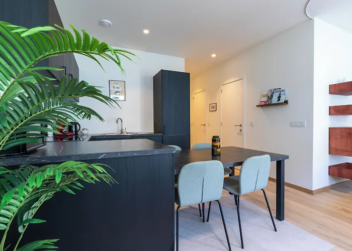 Smartflats - Rogier 公寓 *