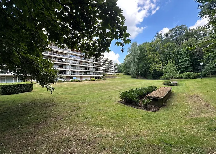 Sunflora * ブリュッセル