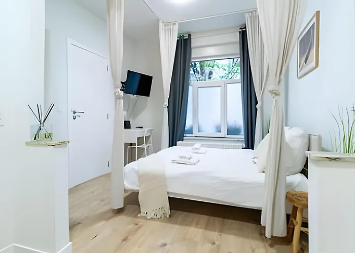 Ideal Pour Visiter * Brussel