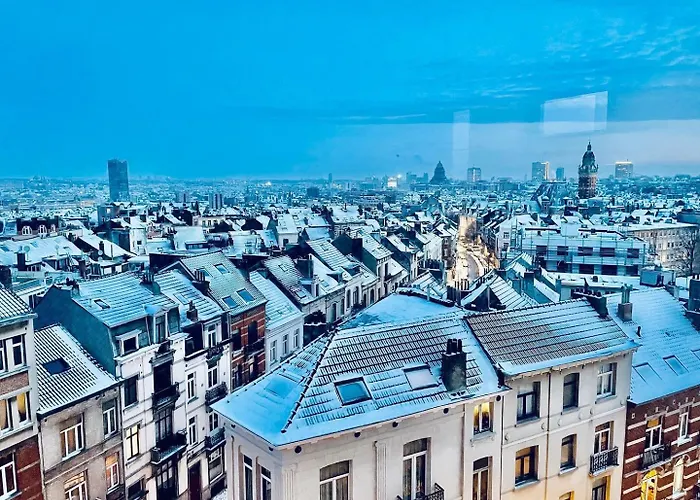 Cocoon * Брюссель