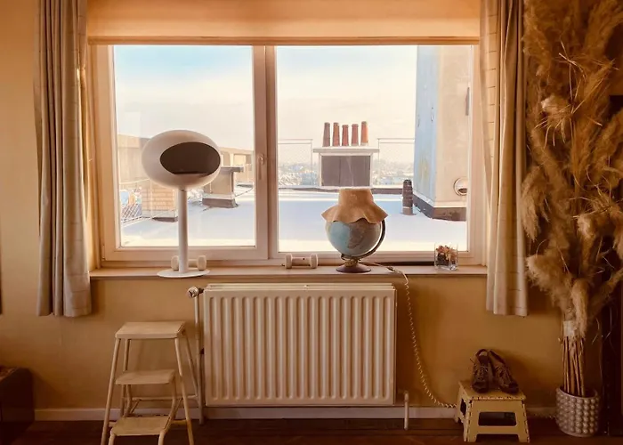 Проживание в семье Cocoon