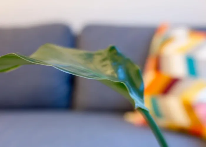 Lägenhet Zoe's World *