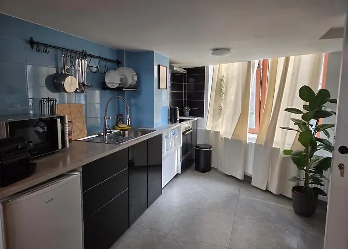 Industrial-style Loft With Mezzanine Bedroom In Prime Area Apartment Brüssel