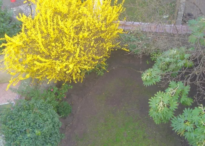 Marie Therese Apartment