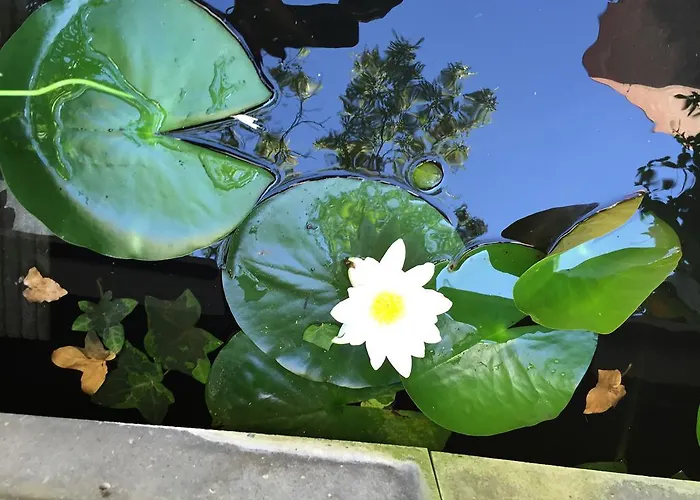 Apartment Marie Therese Brussels