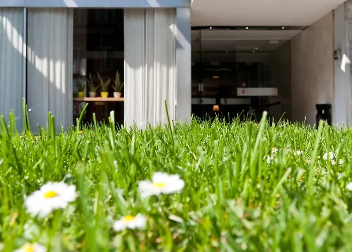 Queen Anne Bruxelles