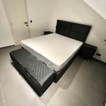 Brand-new In The Heart Of *