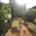 Maison Jamaer 3*