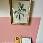 Appartement Cozy Studio-city Center *
