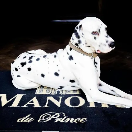 Le Manoir Du Prince De Liege 3* Brüssel