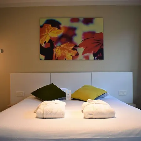 Hilton Garden Centre Hotel Bruxelles
