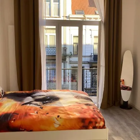 Dreamland Eu, Bruksela