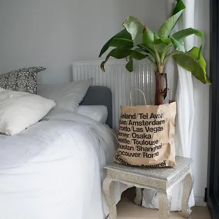 New Centre Ville Dansaert - Magnifique Flat Cosy